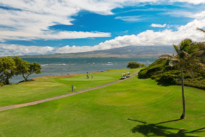 view of green on coast