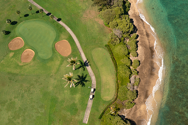 aerial view of the green with golf carts