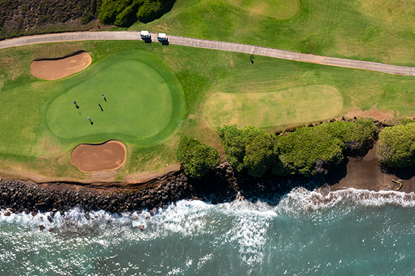 aerial view of green